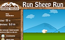 Run Sheep Run